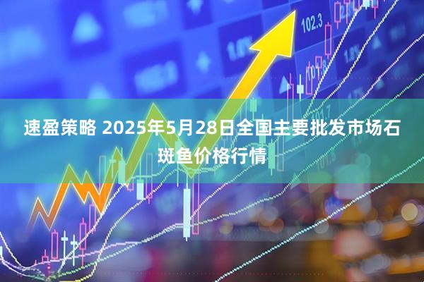 速盈策略 2025年5月28日全国主要批发市场石斑鱼价格行情