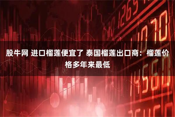 股牛网 进口榴莲便宜了 泰国榴莲出口商：榴莲价格多年来最低