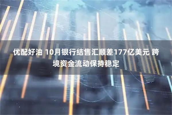 优配好油 10月银行结售汇顺差177亿美元&#32;跨境资金流动保持稳定